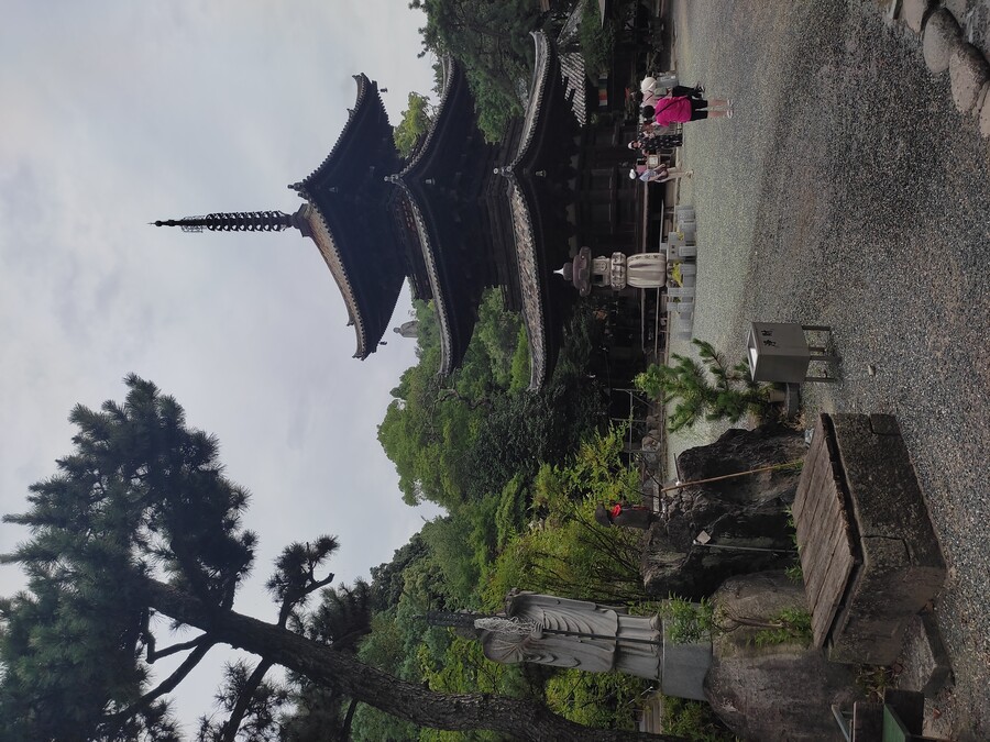 마츠야마 2_23.jpg