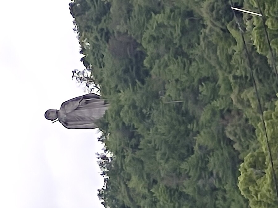 마츠야마 2_38.jpg