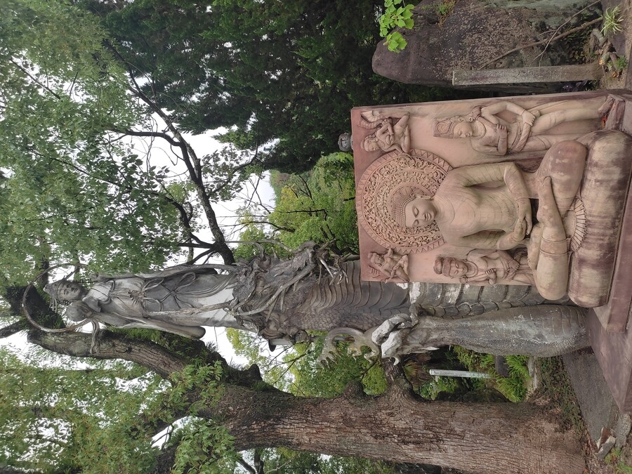 마츠야마 2_37.jpg