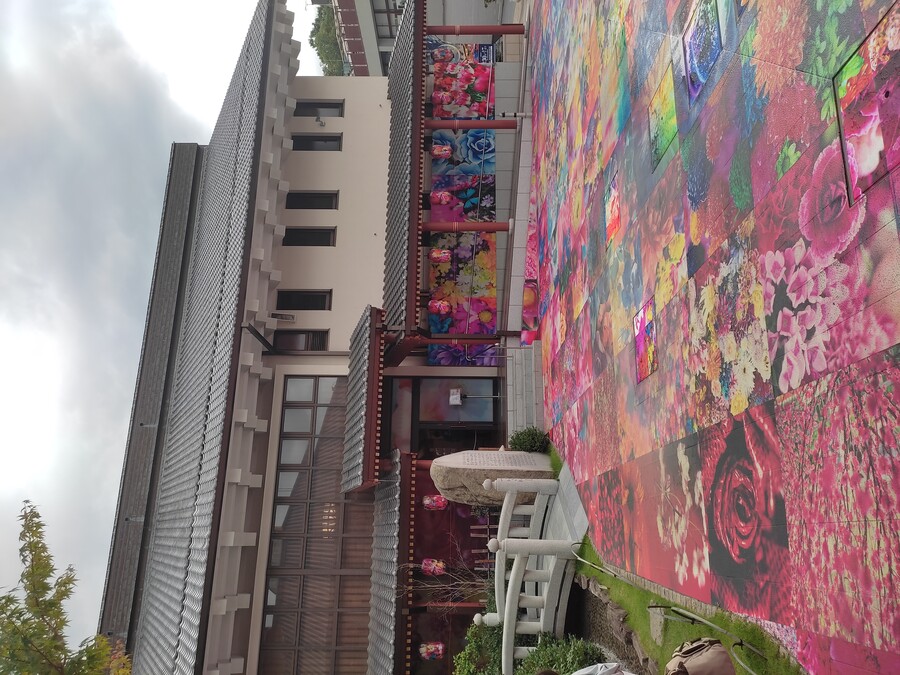 마츠야마 2_115.jpg