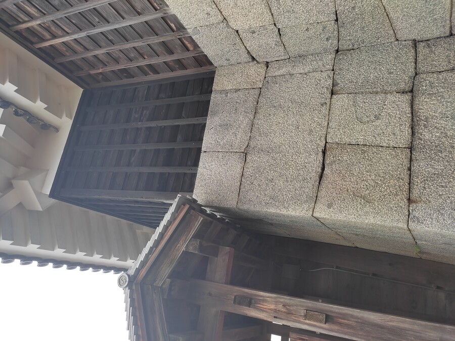 마츠야마 3_29.jpg