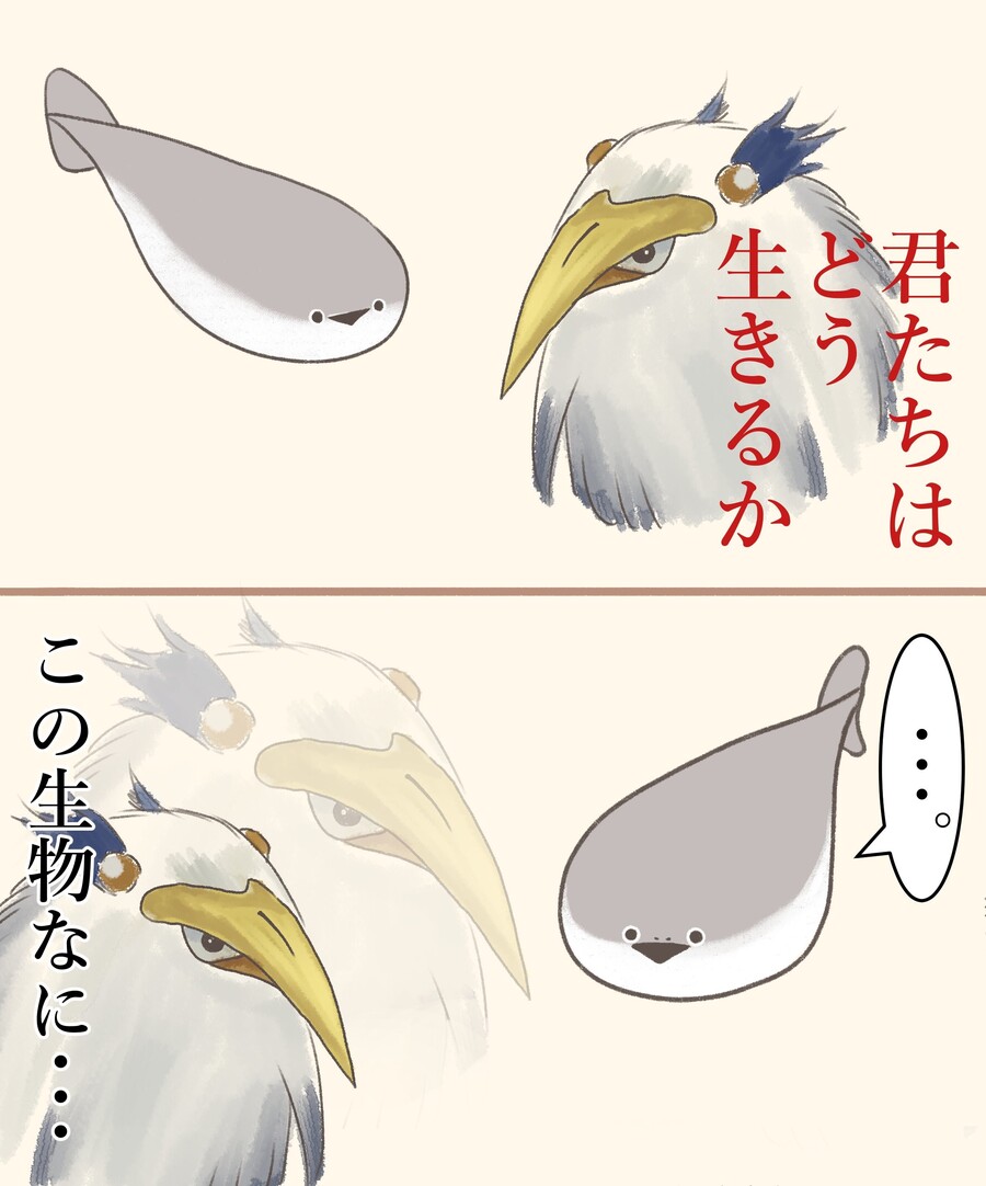 지브리)그대들 어떻게 살것인가 짤들_7.jpeg