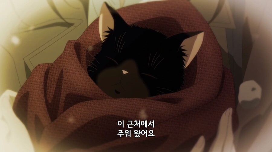 야무진고양이) 눈 오는 날 주운 아기고양이.JPG_1.jpg
