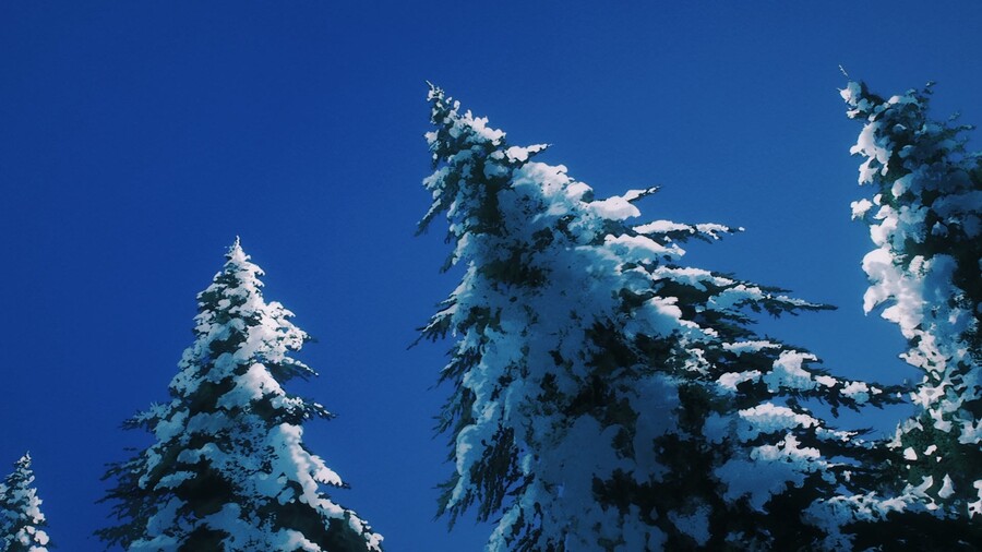 [체인소 맨] 배경 미술 모움 (226장, 33MB)_114.jpg