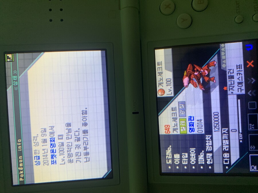 던전에서 초⭐️레어 포켓몬을 대거 만난건에 대하여_3.jpeg