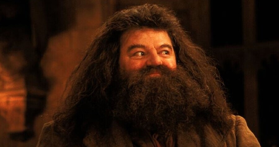 해리포터) 맥고나걸이 해리 일행에게 150점 감점을 갈긴 이유_6.jpg