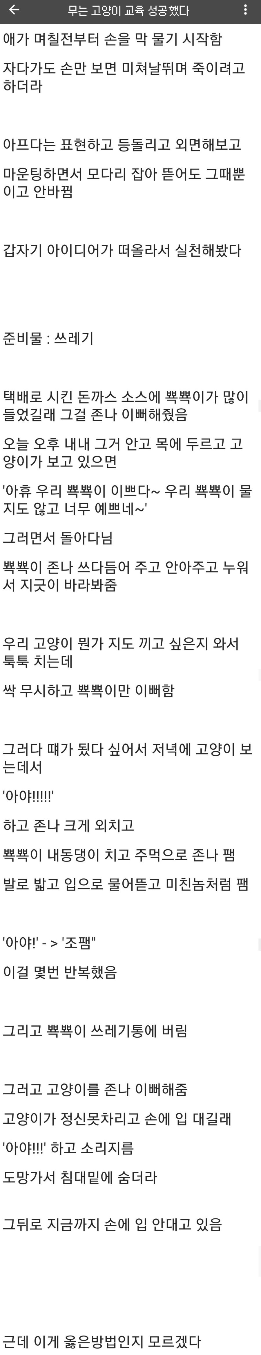 무는 고양이 교육하는 어둠의 강형욱.jpg_1.jpeg