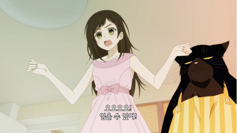 야무진고양이) 이 고양이 못하는게 뭘까_5.jpg