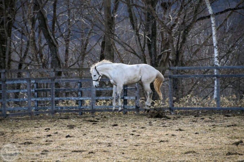 초전도체는 공중에 뜨는거지?_1.jpg
