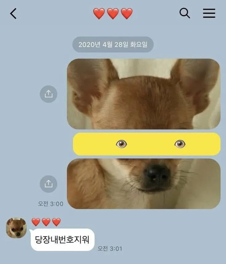 여자친구와 헤어진 다음날 보낸 카톡.jpg_1.jpg