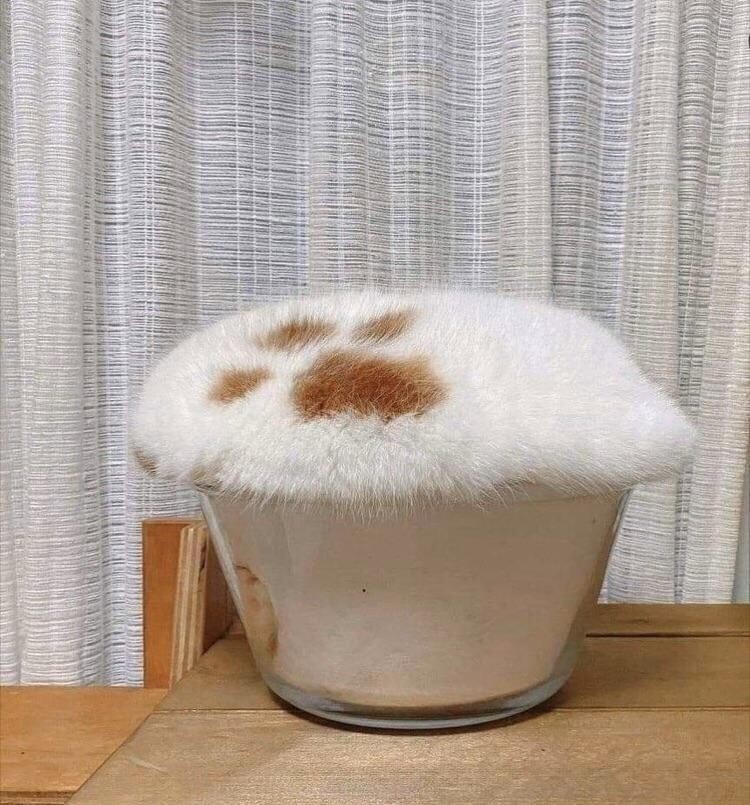 급속한 온난화로 인한 우유 근황.gif_1.jpeg