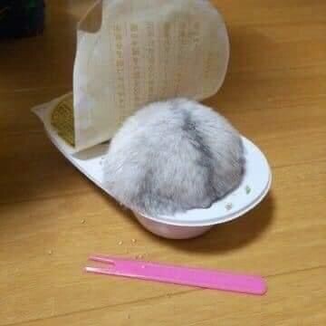 급속한 온난화로 인한 찰떡아이스 근황.jpg_1.jpeg