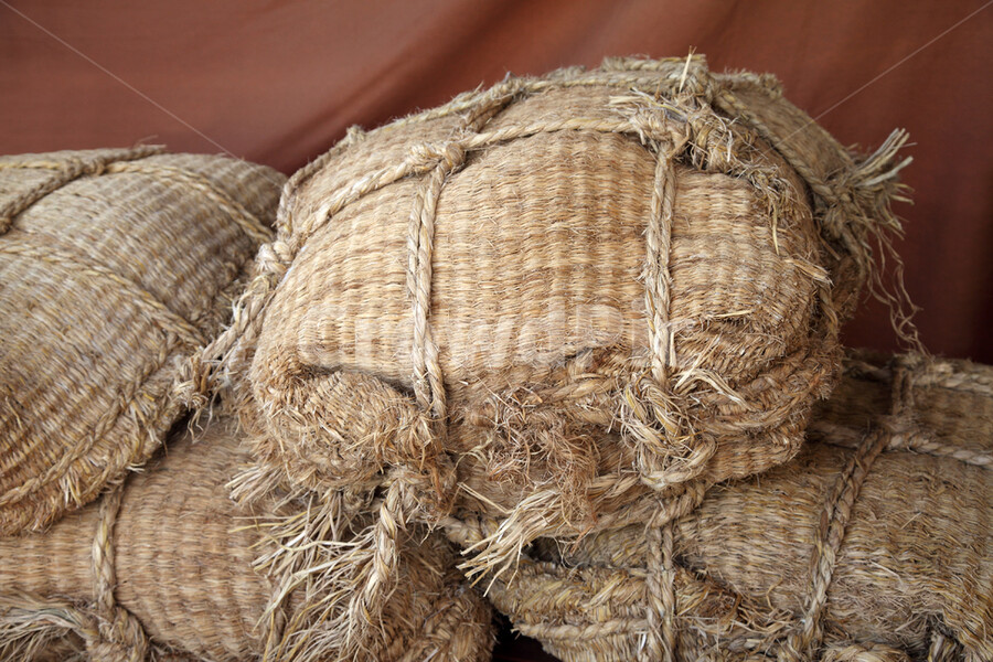 모모와 도련님의 대화 기록문- 번외편- And Life goes on_1.png