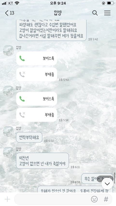 유기묘 입양 대신 펫샵가서 분양받아야 하는 이유.eu_6.jpg