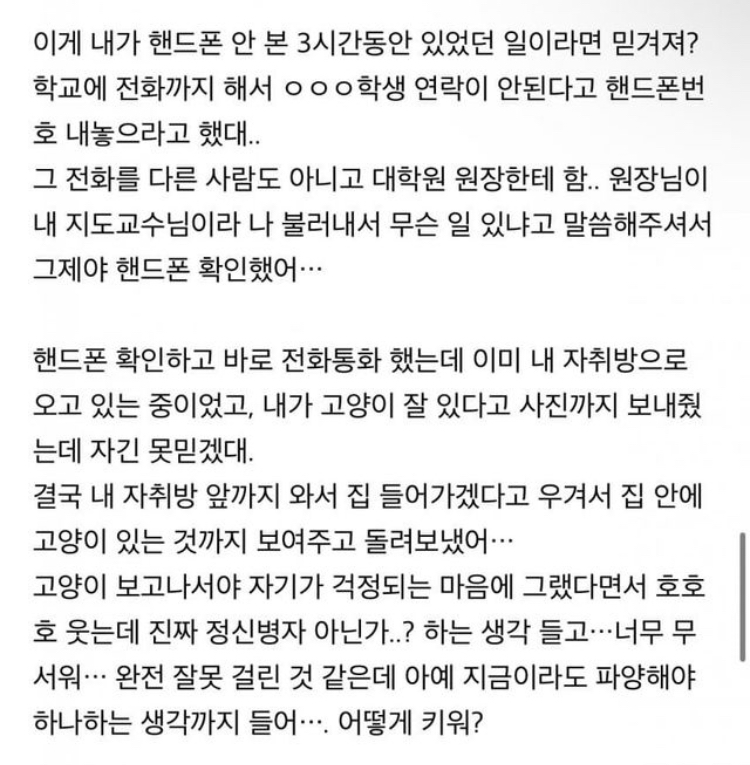 유기묘 입양 대신 펫샵가서 분양받아야 하는 이유.eu_7.jpg