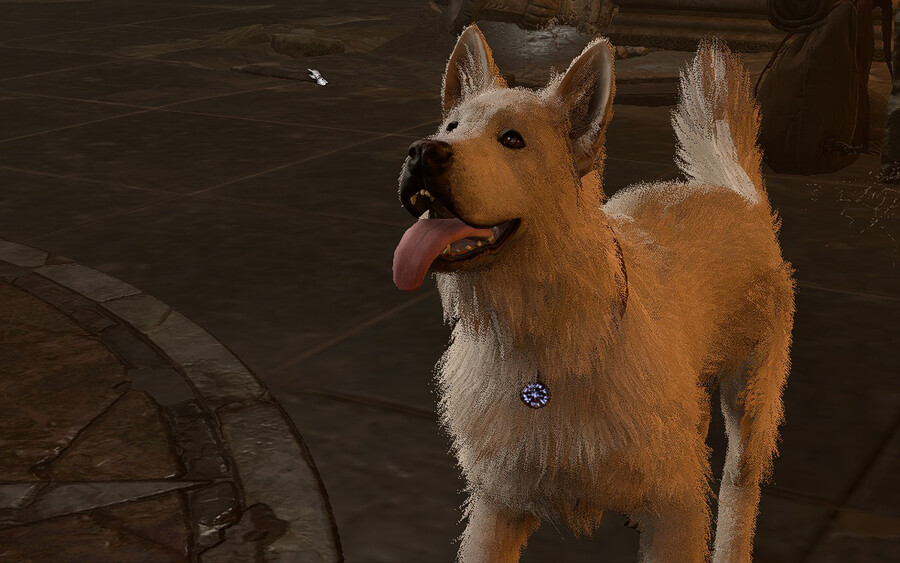 야영장은 힐링하는 곳이죠._2.jpg