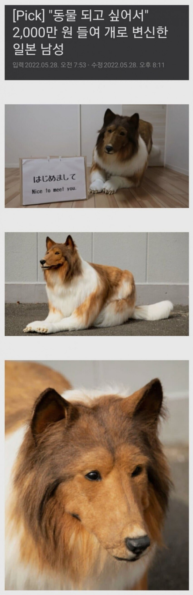 인간 실격! 짐승 합격하는 manhwa_9.jpg