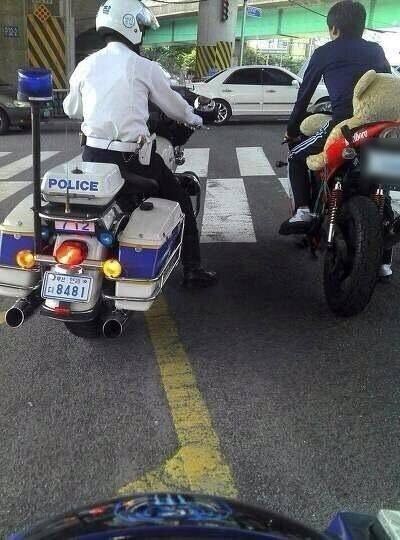 무언가 수상한 오토바이 짤 모음집_2.jpg