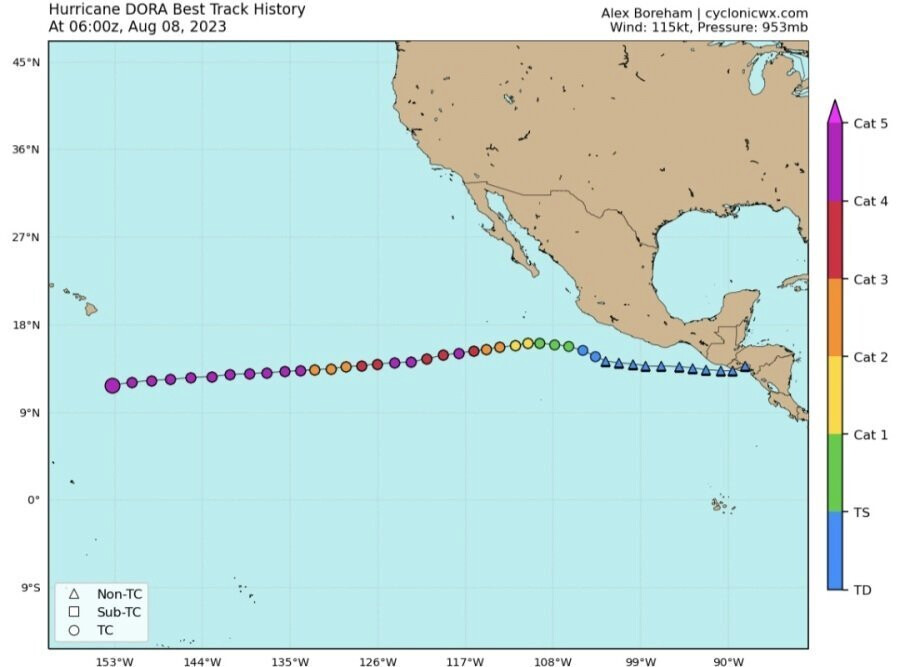 속보] 멕시코에서 태풍 보내 줌_1.png