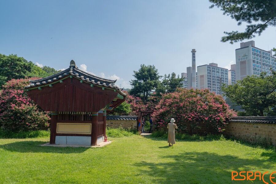 올해 찍은 사진들 (스압 65장)_33.jpeg