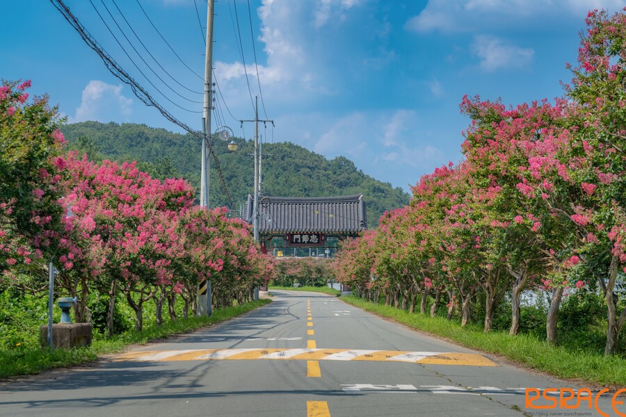 올해 찍은 사진들 (스압 65장)_34.jpeg