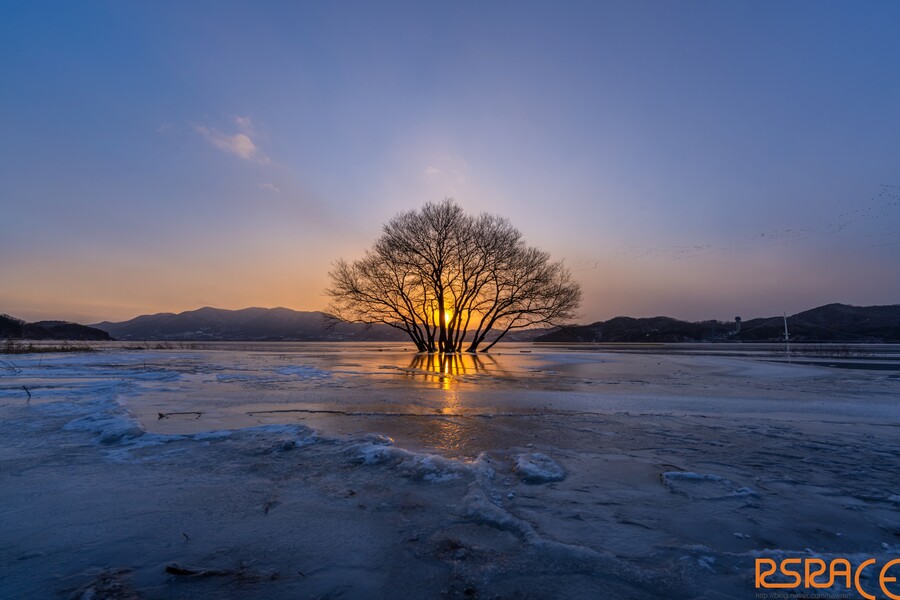 올해 찍은 사진들 (스압 65장)_50.jpeg