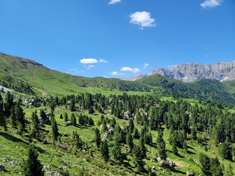 어머니 모시고 알프스 여행 20~21일차, 사쏘 룽고-포르도이 그리고 집으로_30.jpg