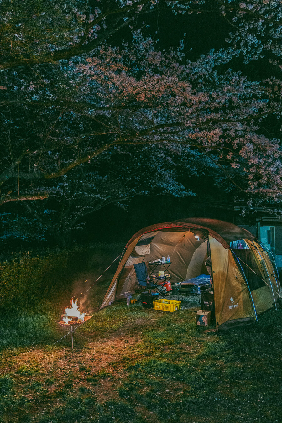 일본 외노자의 1년 기록 (55장)_19.jpg