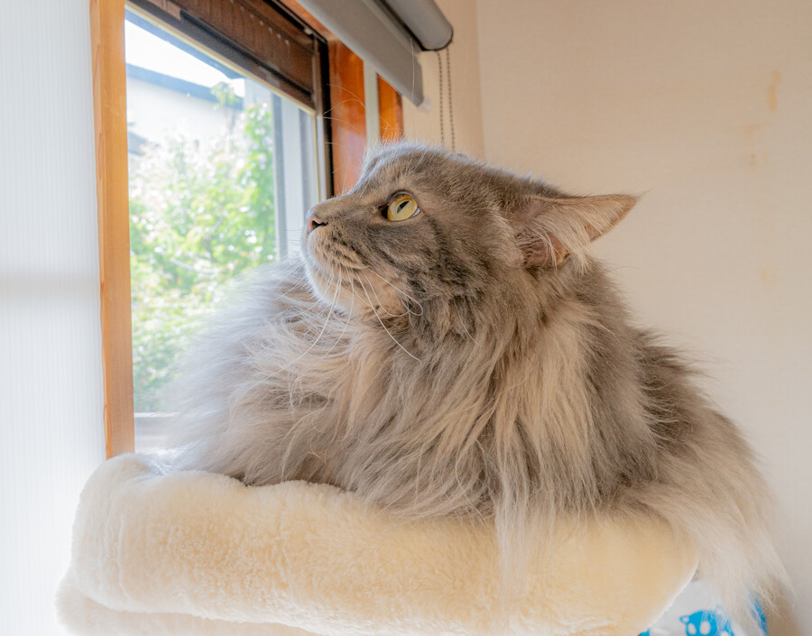 일본 외노자의 1년 기록 (55장)_30.jpg