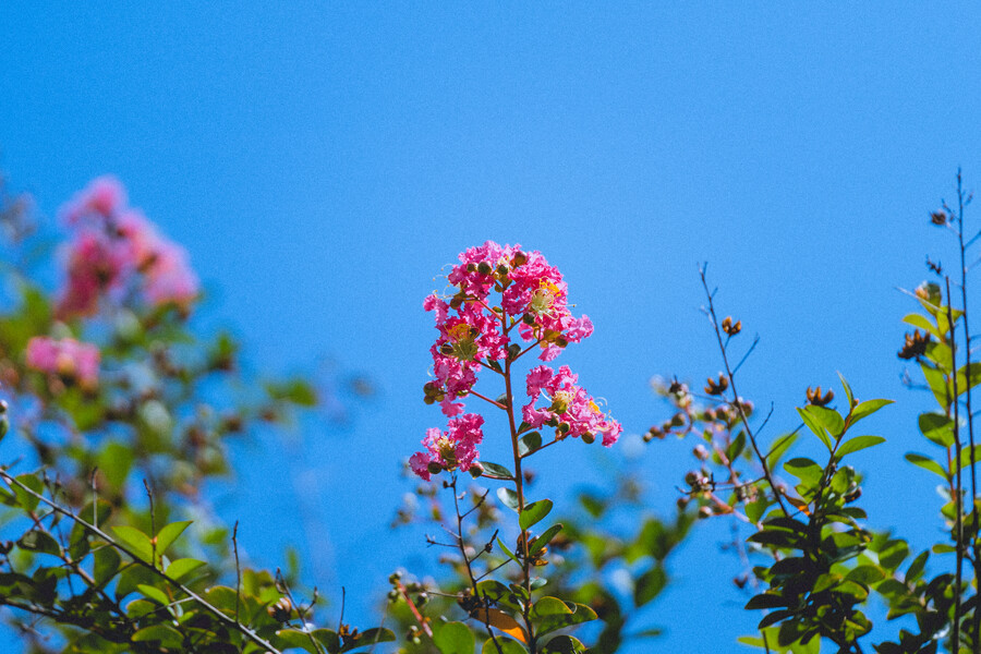 일본 외노자의 1년 기록 (55장)_43.jpg