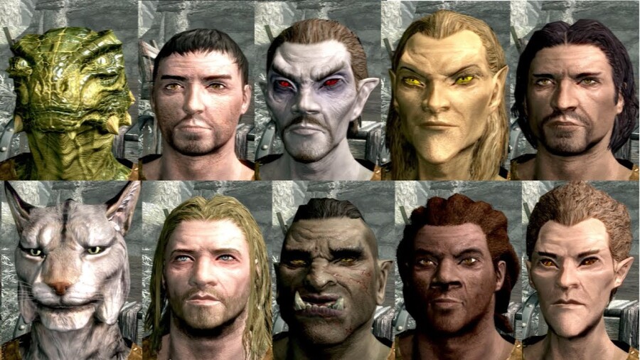 의외로 일반인들에겐 허구로 취급받는 종족.skyrim_2.jpg