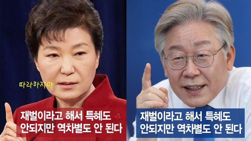 아침에 사정게 구경 갔다왔는데 개꿀잼_2.jpg