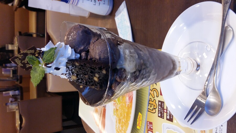 2017년 나고야 여행_101.jpg