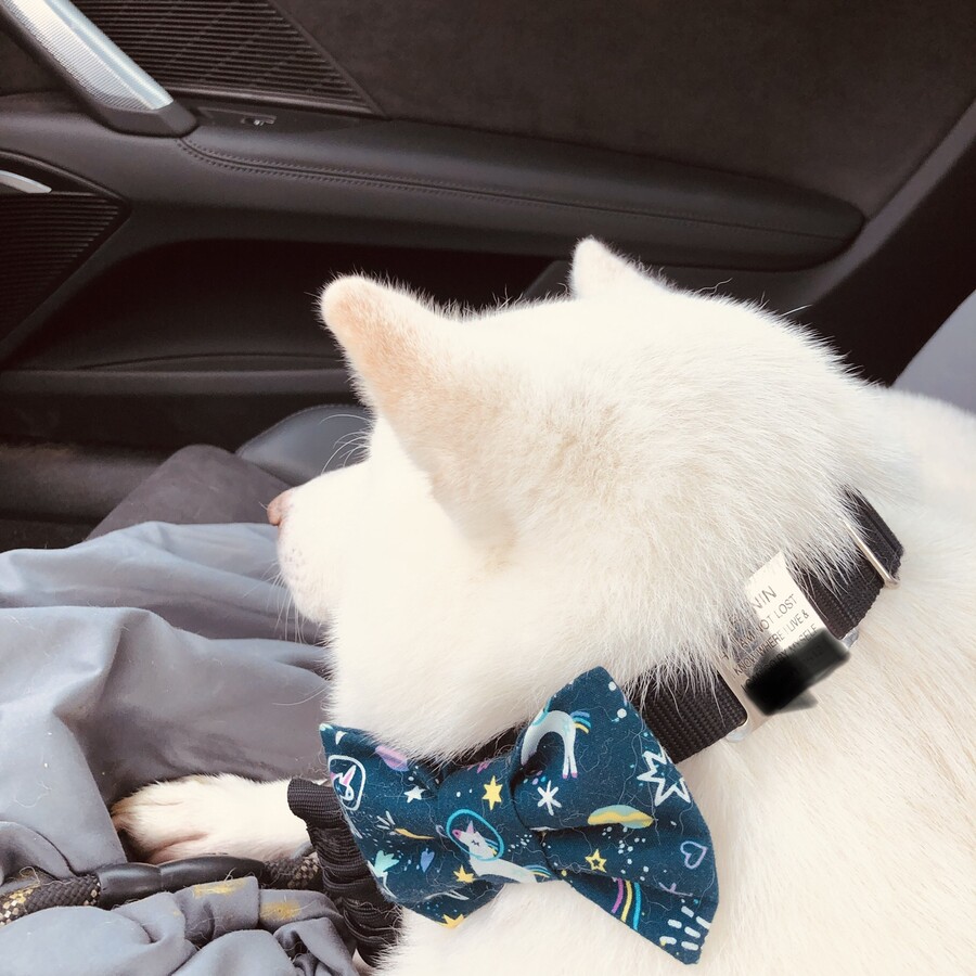 버몬트에 있는 벤앤제리 공장을 가보쟈 (스압)_4.jpg