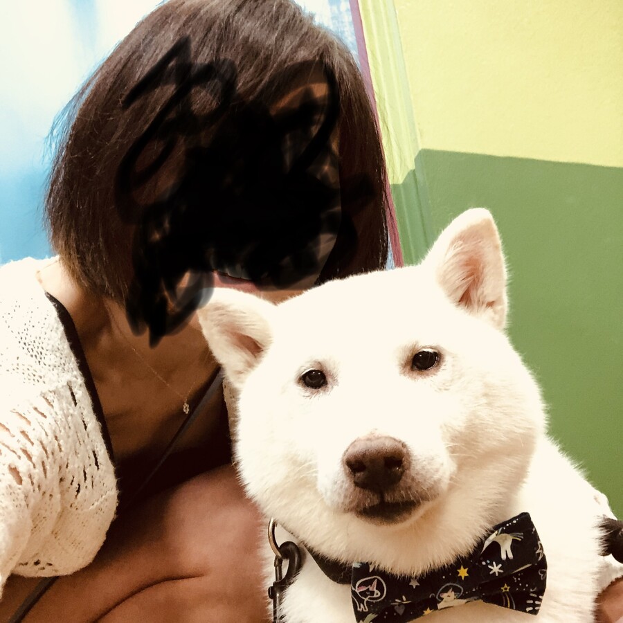 버몬트에 있는 벤앤제리 공장을 가보쟈 (스압)_17.jpg