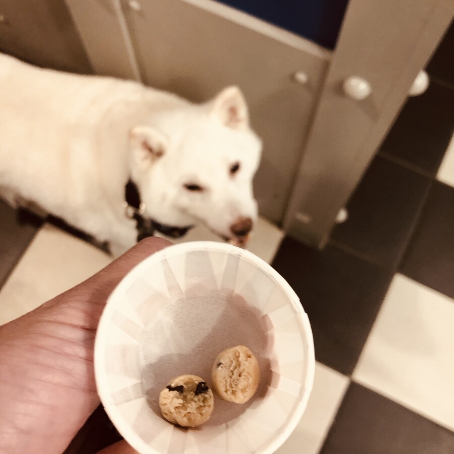 버몬트에 있는 벤앤제리 공장을 가보쟈 (스압)_14.jpg