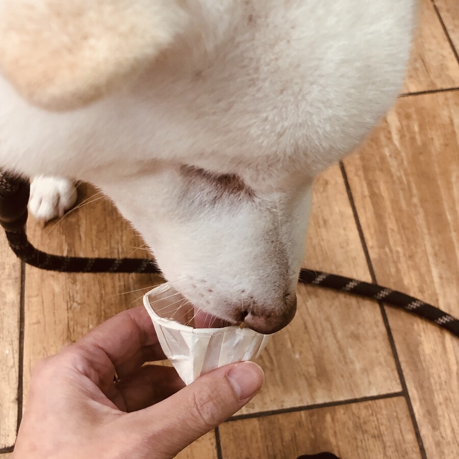 버몬트에 있는 벤앤제리 공장을 가보쟈 (스압)_24.jpg