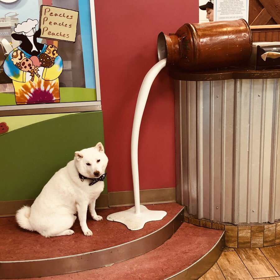 버몬트에 있는 벤앤제리 공장을 가보쟈 (스압)_25.jpg