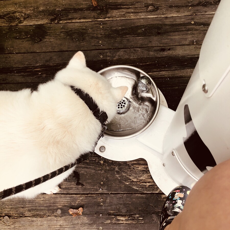 버몬트에 있는 벤앤제리 공장을 가보쟈 (스압)_28.jpg