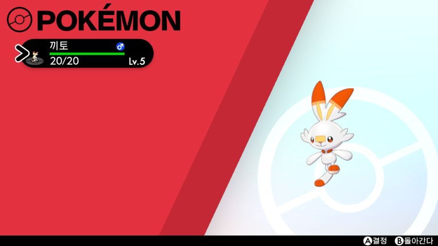 실드 시작했어요_1.jpeg