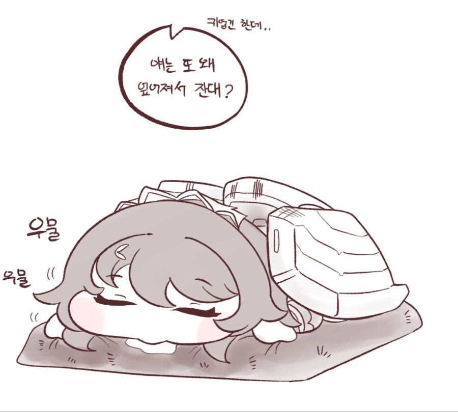 님들 올빼미 자는 모습 본적 있음?_2.jpeg