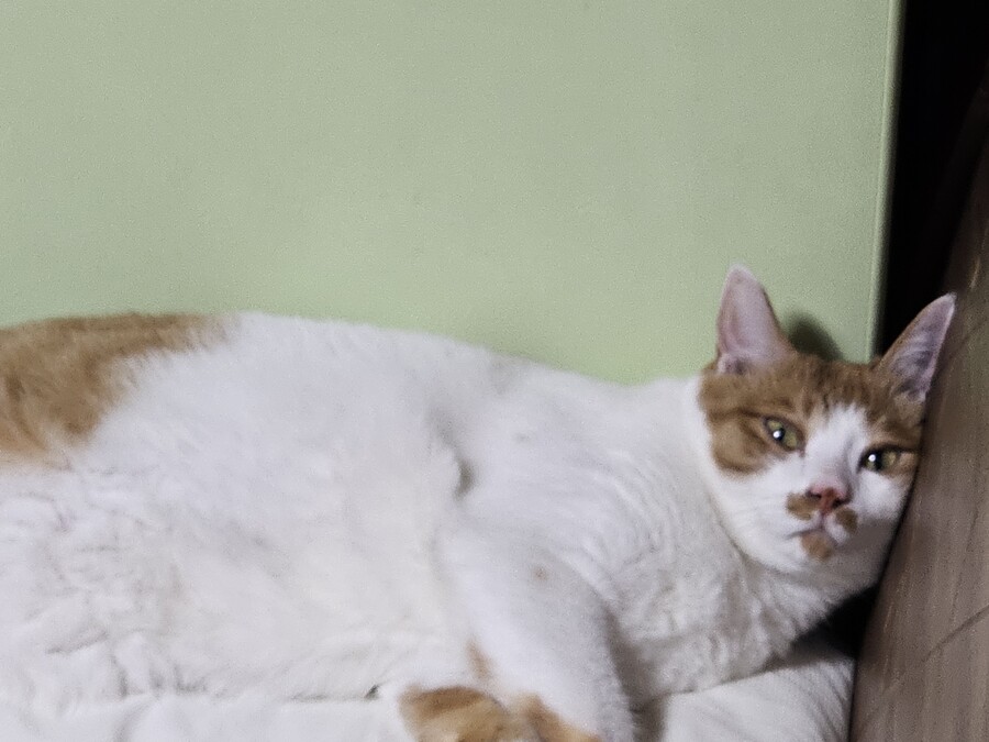 화제의 그것을 달린다!!!_1.jpg