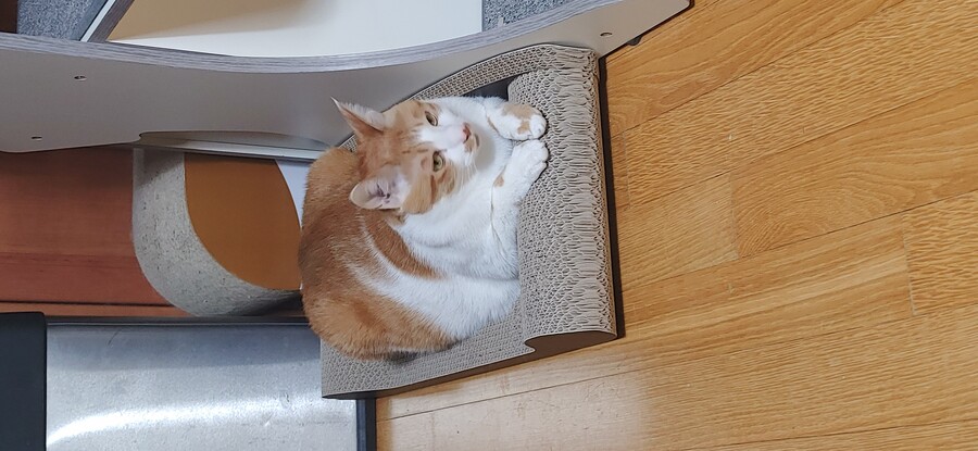 화제의 그것을 달린다!!!_2.jpg