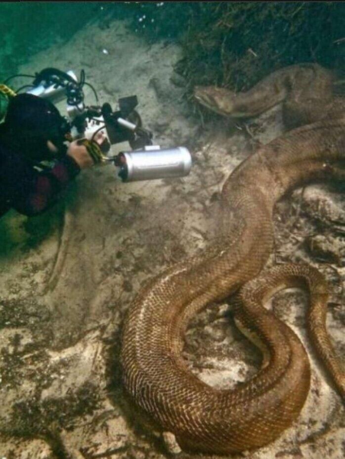 (파충류주의)연봉 1억넘는 사진작가_3.jpg