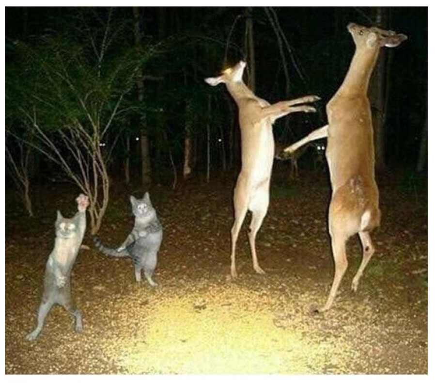 그녀는 모형을 꼬옥 끌안았다_3.png