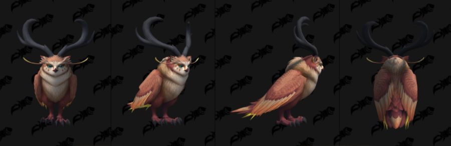 와우 용군단 10.2 신규 이세라, 피락 및 드루이드 커스터마이징 39종 추가_18.jpg