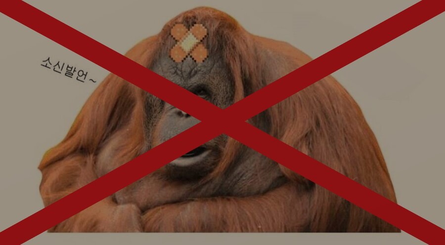 (스압주의)오싹오싹 택견 근현대사 8편 - 황금기의 뒷면과 또 다른 계승자 -_7.jpg