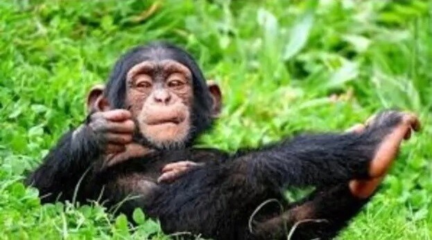 번역) 안 씻고자는 누나.pixiv_7.jpg