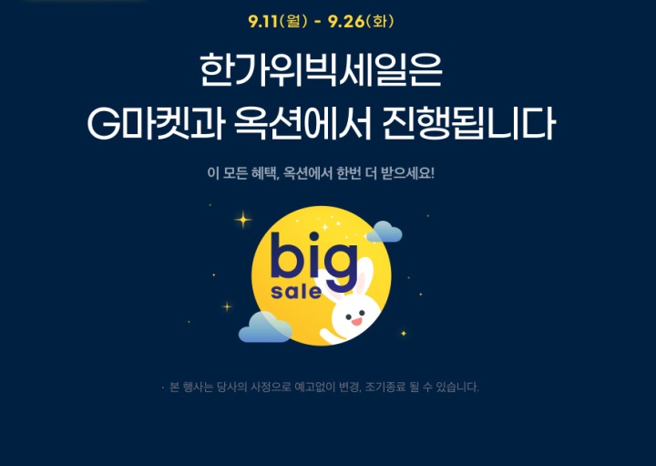 세일아이티 이미지
