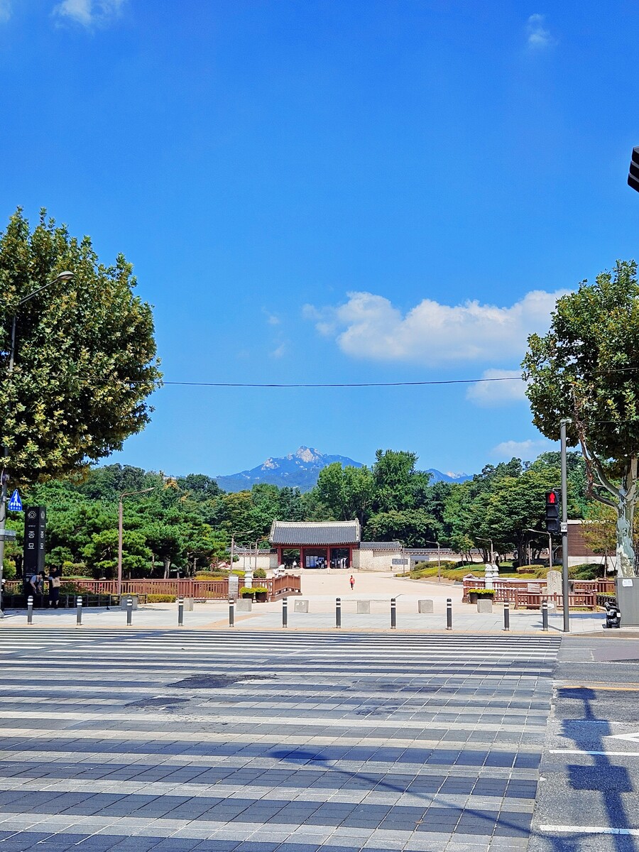 서울 종로구 광장시장 창신육회_8.jpg